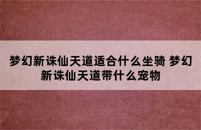 梦幻新诛仙天道适合什么坐骑 梦幻新诛仙天道带什么宠物